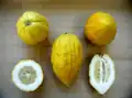 An etrog from many angles