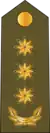 Polkovnik(Azerbaijani Land Forces)