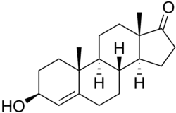 Skeletal formula of 4-dehydroepiandrosterone