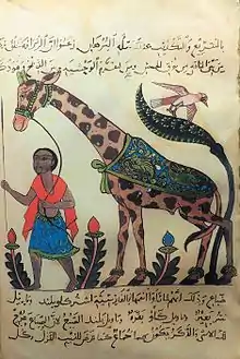 A giraffe from "Kitāb al-ḥayawān" (Book of the Animals) by Al-Jahiz.