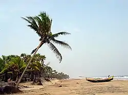 Antarvedi Beach view