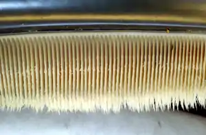 Photo displaying dozens of baleen plates. The plates face each other, and are evenly spaced at approximately 0.25 inches (1 cm) intervals. The plates are attached to the jaw at the top, and have hairs at the bottom end.