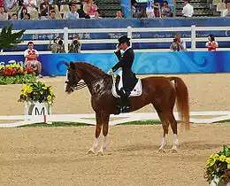 A chestnut (reddish-brown) horse being ridden by a rider in a black coat and top hat. They are stopped in a riding arena with the rider tipping his hat.