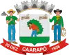 Coat of arms of Caarapó