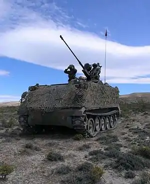 Argentine M-113 equipped with AA cannon.