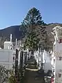 Municipal Cemetery Salamanca