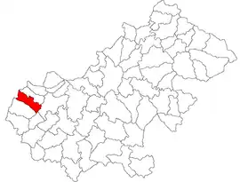 Location in Satu Mare County