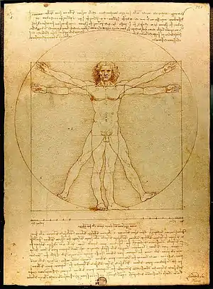 Proportion: Leonardo's Vitruvian Man, c. 1490