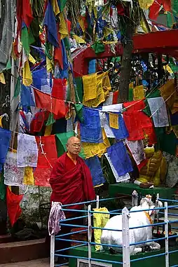 A Buddhist monk next to the entrance to the Mahakal temple complex. Nandi the sacred bull(Shiva's vehicle on the bottom right)