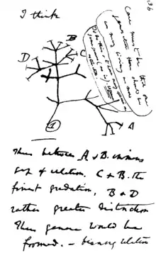 Image 18In mid-July 1837 Charles Darwin started his "B" notebook on the Transmutation of Species, and on page 36 wrote "I think" above his first evolutionary tree. (from History of science)