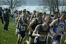 Image 4The New York State Federation Championship cross country meet in November 2010 (from Cross country running)