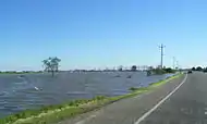 Flooding of the Hunter and Williams Rivers in Nelsons Plains during 2007.