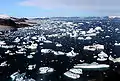  Icebergs broken off from glaciers in northern Baffin Bay, Cape York, Greenland