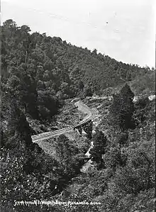 Glen Massey Line undated photo of a bridge over Firewood Creek, probably about 1917