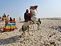 Horse on the Varanasi Beach