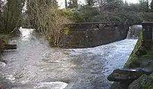 Two stream channels join below land covered with trees and shrubs and protected by a stone wall. The wall, about six feet (two meters) high, extends across the right-hand stream channel, which plunges over the wall. Downstream, the combined channels are about 30 feet (9 meters) wide and turbulent.