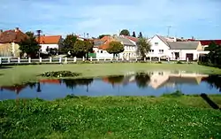 Pond in Koloveč