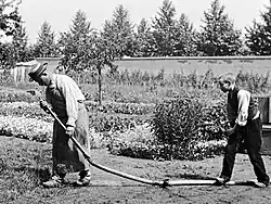 Image 41A frame from the Lumière brothers staged comedy film, L'Arroseur Arrosé (1895) (from History of film)