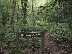 Ledgers Wood