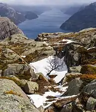 Lysefjord seen from the top of the Preikestolen hill