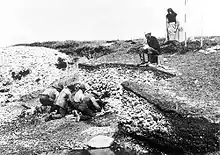 Image 68Excavation of the Ertebølle middens in 1880 (from Atlantic Ocean)