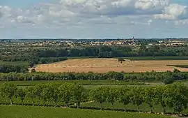 A general view of Nézignan-l'Évêque