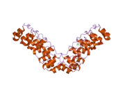 2he0: Crystal structure of a human Notch1 ankyrin domain mutant