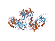 2hi9: Crystal Structure of human native protein C inhibitor