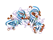 2i4q: Human renin/PF02342674 complex