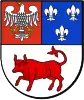 Coat of arms of Turek County