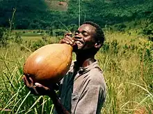 Image 47Palm wine is collected, fermented and stored in calabashes in Bandundu Province, Democratic Republic of the Congo. (from List of alcoholic drinks)