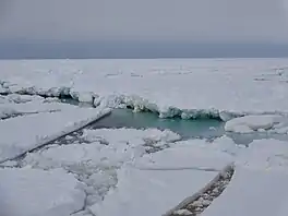 Sea ice in the Ross Sea