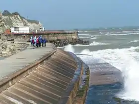 Seawalls to protect against storm surge worsened by sea level rise