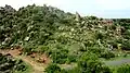 Vijayadri hillock (South west view)