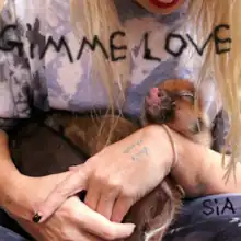 A photo of a blonde woman holding a baby pig in her lap.