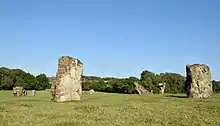 Large stones, some lying and some standing on end in grassy area