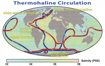 World map with colored, directed lines showing how water moves through the oceans. Cold deep water rises and warms in the central Pacific and in the Indian, whereas warm water sinks and cools near Greenland in the North Atlantic and near Antarctica in the South Atlantic.