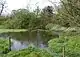 Pond on the east side of the moated site