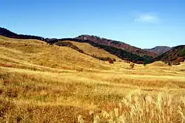 The beginning of November, on Tonomine highlands in Kamikawa, Hyogo, Japan