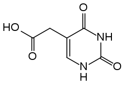 The acetic acid derivative predominantly found in urine