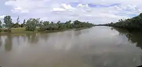 Warrego River at Cunnamulla, 2010